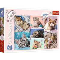Katzenwelt (Kinderpuzzle) von PBS Deutschland GmbH & Co.KG