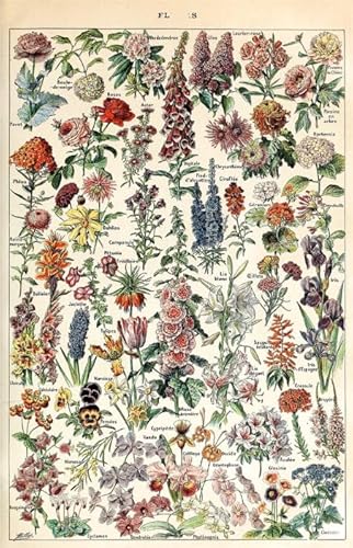 PDSYUCHEN 1000 Teile ,Bunt Puzzles ,Bilder ,Vintage Florals Poster , Spiele Zur Stressreduktion In Der Familie ,Wand Dekoration - Tz581Kj PDSYUCHEN 1000 Teile ,Bunt Puzzles ,Bilder ,Vintage Florals Poster , Spiele Zur Stressreduktion In Der Familie ,Wand Dekoration - Tz581Kj von PDSYUCHEN