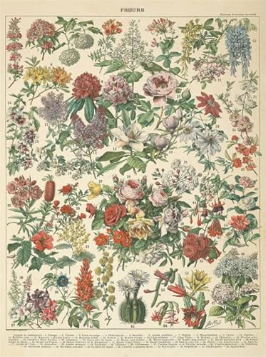 PDSYUCHEN 1000 Teile ,Bunt Puzzles ,Bilder ,Vintage Florals Poster , Spiele Zur Stressreduktion In Der Familie ,Wand Dekoration - Tz582Kj PDSYUCHEN 1000 Teile ,Bunt Puzzles ,Bilder ,Vintage Florals Poster , Spiele Zur Stressreduktion In Der Familie ,Wand Dekoration - Tz582Kj von PDSYUCHEN