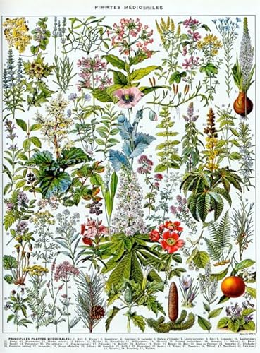 PDSYUCHEN 1000 Teile ,Bunt Puzzles ,Bilder ,Vintage Florals Poster , Spiele Zur Stressreduktion In Der Familie ,Wand Dekoration - Tz583Kj PDSYUCHEN 1000 Teile ,Bunt Puzzles ,Bilder ,Vintage Florals Poster , Spiele Zur Stressreduktion In Der Familie ,Wand Dekoration - Tz583Kj von PDSYUCHEN