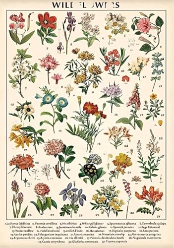 PDSYUCHEN 1000 Teile ，Bunt Puzzles ，Bilder ，Vintage Florals Poster ， Spiele Zur Stressreduktion In Der Familie ，Wand Dekoration - Tz584Kj von PDSYUCHEN