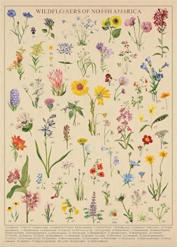 PDSYUCHEN 1000 Teile Puzzle - Poster - Difficult Puzzle - Gifts - Vintage Flowers Illustrations - Stressabbau-Spiel Für Erwachsene – Bild - Tz216Kj PDSYUCHEN 1000 Teile Puzzle - Poster - Difficult Puzzle - Gifts - Vintage Flowers Illustrations - Stressabbau-Spiel Für Erwachsene – Bild - Tz216Kj von PDSYUCHEN
