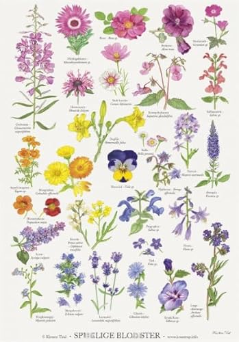 PDSYUCHEN 1000 Teile Puzzle - Poster - Difficult Puzzle - Gifts - Vintage Flowers Illustrations - Stressabbau-Spiel Für Erwachsene – Bild - Tz217Kj PDSYUCHEN 1000 Teile Puzzle - Poster - Difficult Puzzle - Gifts - Vintage Flowers Illustrations - Stressabbau-Spiel Für Erwachsene – Bild - Tz217Kj von PDSYUCHEN