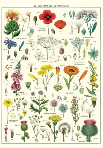 PDSYUCHEN 1000 Teile Puzzle - Poster - Difficult Puzzle - Gifts - Vintage Flowers Illustrations - Stressabbau-Spiel Für Erwachsene – Bild - Tz219Kj PDSYUCHEN 1000 Teile Puzzle - Poster - Difficult Puzzle - Gifts - Vintage Flowers Illustrations - Stressabbau-Spiel Für Erwachsene – Bild - Tz219Kj von PDSYUCHEN
