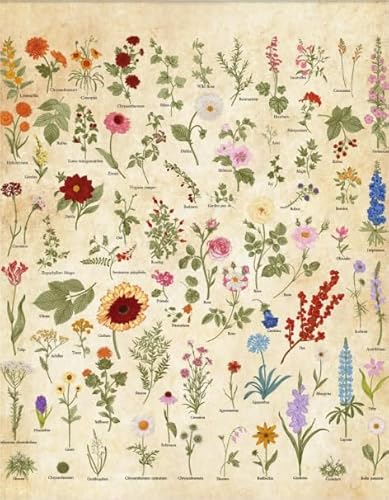 PDSYUCHEN 1000 Teile Puzzle - Poster - Difficult Puzzle - Gifts - Vintage Flowers Illustrations - Stressabbau-Spiel Für Erwachsene – Bild - Tz220Kj PDSYUCHEN 1000 Teile Puzzle - Poster - Difficult Puzzle - Gifts - Vintage Flowers Illustrations - Stressabbau-Spiel Für Erwachsene – Bild - Tz220Kj von PDSYUCHEN