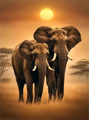 PDSYUCHEN Colourful,Irregular 1000 Stück,Difficult Puzzle, Cute Elephants Fun Pictures,Puzzle Spielzeug Zum Stressabbau Für Erwachsene Und Familien Gifts - Jw52Th von PDSYUCHEN