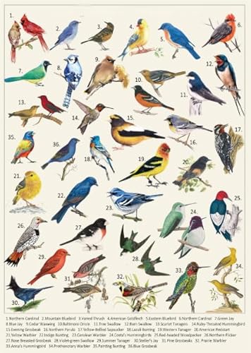 PDSYUCHEN Difficult Puzzle - 1000 Stück Puzzles - Birds Retro Illustrations - Wand Kunst Dekoration - Heraus for Derungs Spiel Für Erwachsene - Familienspaß-Heraus for Derungs Spielzeug - Jw110Th von PDSYUCHEN