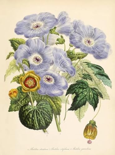 PDSYUCHEN Puzzle 1000 Stück ,Difficult Puzzle ,Colorful ,Vintage Florals Illustrations ,Puzzle-Spiel Zum Stressabbau Für Erwachsene, Kunstbild - Jw105Th PDSYUCHEN Puzzle 1000 Stück ,Difficult Puzzle ,Colorful ,Vintage Florals Illustrations ,Puzzle-Spiel Zum Stressabbau Für Erwachsene, Kunstbild - Jw105Th von PDSYUCHEN