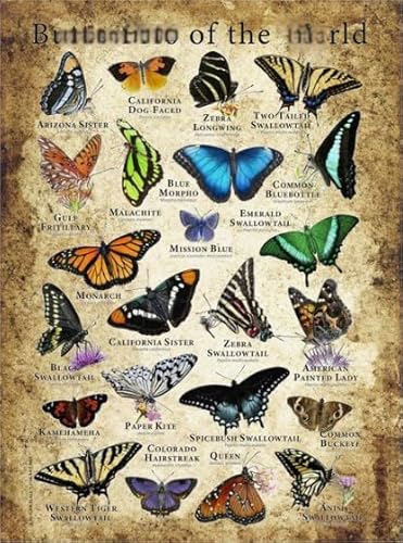 PDSYUCHEN Puzzle 1000 Stück ，Difficult Puzzle ，Retro Butterflys Poster Art Painting ， Personalisiertes Challenge-Spielzeug Für Erwachsene Gifts - Jw64Th von PDSYUCHEN