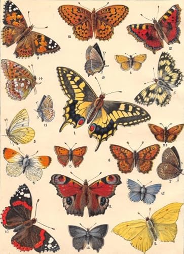 PDSYUCHEN Puzzle 1000 Stück ，Difficult Puzzle ，Retro Butterflys Poster Art Painting ， Personalisiertes Challenge-Spielzeug Für Erwachsene Gifts - Jw66Th von PDSYUCHEN