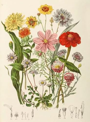 PDSYUCHEN Puzzle 1000 Teile ，Difficult Puzzle ，Poster ，Retro Flowers Illustrations ，Alzheimer Games for Adults ，Familienspaß-Heraus for Derungs Spielzeug - Tz490Kj von PDSYUCHEN