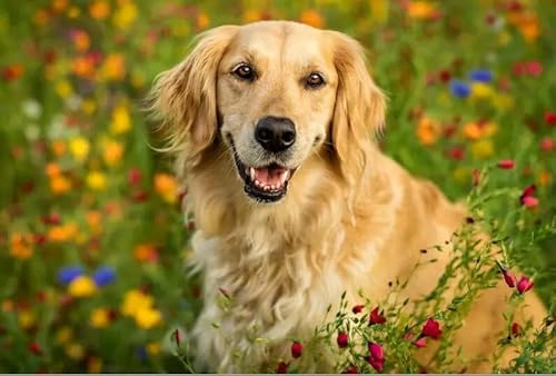 1000 Teile Feldhund Das Holzpuzzle Lernspielzeug Für Erwachsene von PEKNUX