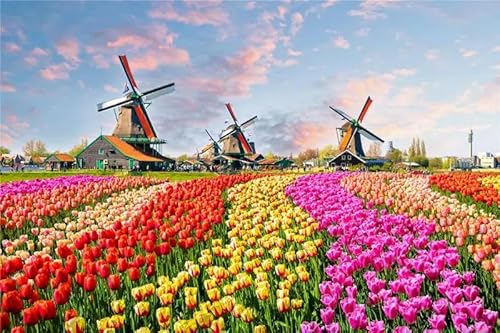 1000 Teile Großes Puzzle Aus Holz Zum Zusammenbauen Von Bildern Holländische Windmühle Tulpen Landschaft Spielzeug Für Erwachsene Heimdekoration Spiele von PEKNUX
