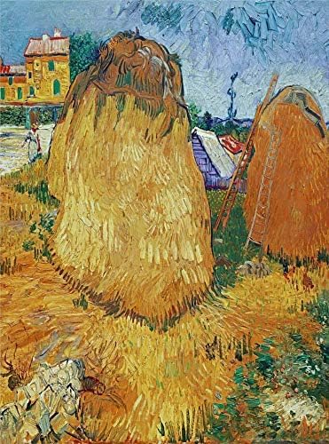 1000 Teile Großes Puzzle – Van Gogh: Heuhaufen In Der Provence – Puzzles Für Erwachsene Und Jugendliche – Berühmte Gemäldeserie von PEKNUX