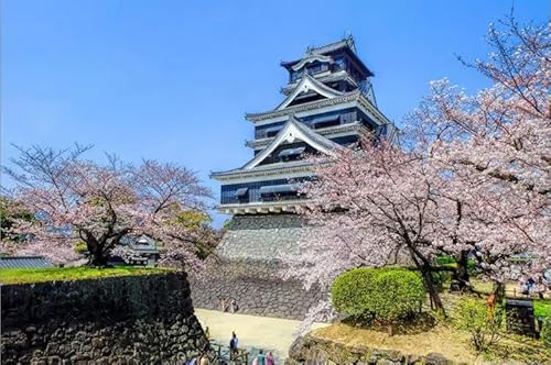 1000 Teile Osaka Kirschblüte Das Holzpuzzle Lernspielzeug Für Erwachsene von PEKNUX