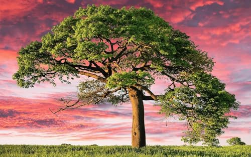 1000 Teile Puzzle Für Erwachsene Einsamer Baum Ästhetik Familie Herausfordernde Spiele Heimdekoration Geschenke von PEKNUX