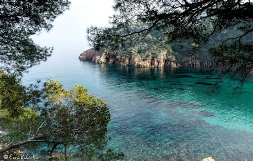 1000 Teile Puzzle Für Erwachsene Landschaftspuzzle Für Erwachsene Frauen Männer Geschenke Herausforderndes Spiel Meer Bäume Felsen Spanien Costa Brava von PEKNUX
