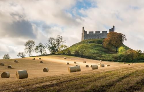 1000 Teile Puzzle Für Erwachsene Und Für Erwachsene Ab 14 Jahren Field Hay Scottish Borders Hume Castle von PEKNUX