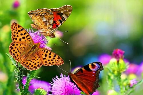 1000 Teile Schmetterlingsliebesblume Das Holzpuzzle Für Erwachsene Lernspielzeug von PEKNUX