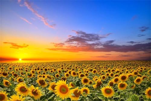 1000 Teile Sonnenblumen Blume Meer Sonnenuntergang Landschaft Erwachsene Spiele Holzpuzzle Spielzeug Familie Foto Dekor von PEKNUX