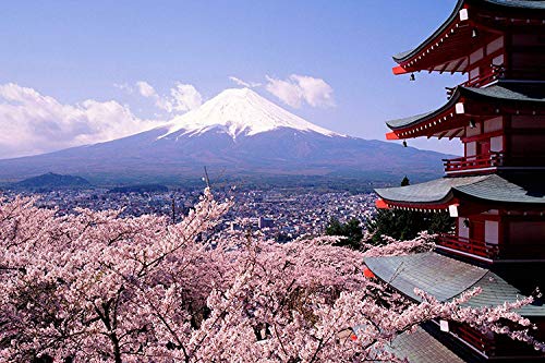 Puzzle Für Erwachsene 1000 Teile Berg Fuji Familie Herausfordernde Spiele Heimdekoration Geschenke von PEKNUX