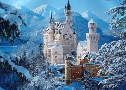 Puzzles Für Erwachsene 1000 Teile Schloss Schwanstein Familie Herausfordernde Spiele Heimdekoration Geschenke von PEKNUX