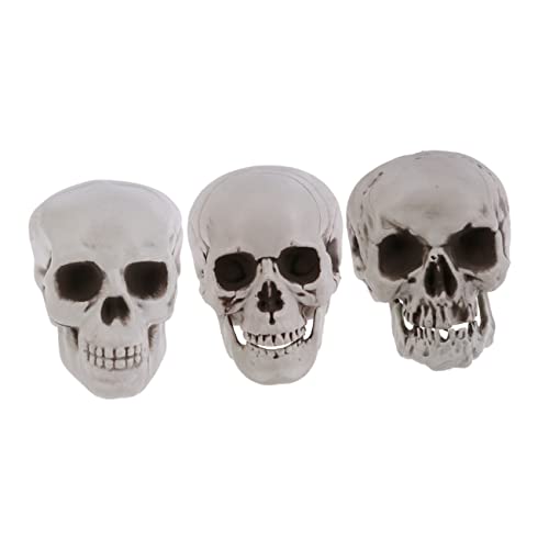 PEPLAYTAL 3 Stück Teiliges Halloween Schädel Deko aus Hochwertigem Kunststoff Realistische Fake Schädel Modelle Leichte Gruselige Party Deko für Haunted House Karneval und Halloween Feier PEPLAYTAL 3 Stück Teiliges Halloween Schädel Deko aus Hochwertigem Kunststoff Realistische Fake Schädel Modelle Leichte Gruselige Party Deko für Haunted House Karneval und Halloween Feier von PEPLAYTAL