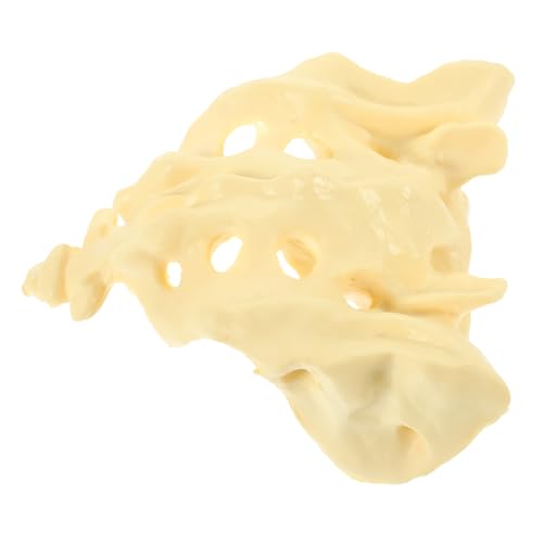 PEPLAYTAL Human Sacrum Modell Präzise Medizinisches Skelett Lehrmodell Für Ärzte Studenten Und Gesundheitsberufe Für Unterricht Und Praxis PEPLAYTAL Human Sacrum Modell Präzise Medizinisches Skelett Lehrmodell Für Ärzte Studenten Und Gesundheitsberufe Für Unterricht Und Praxis von PEPLAYTAL