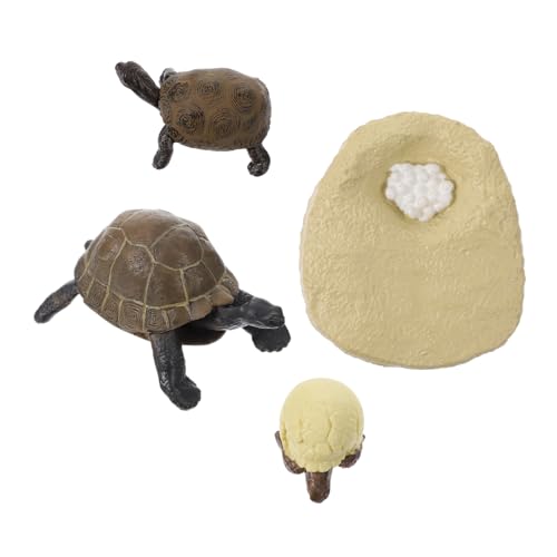 PERSELOSO 1 Satz Lebensechten Schildkrötenmodellen für Lebenszyklus Kognitive Lernhilfe für Frühe Bildungsspielzeuge Vorstellungskraft und Naturkenntnisse PERSELOSO 1 Satz Lebensechten Schildkrötenmodellen für Lebenszyklus Kognitive Lernhilfe für Frühe Bildungsspielzeuge Vorstellungskraft und Naturkenntnisse von PERSELOSO