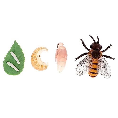 PERSELOSO 1 Satz Miniatur Bienenwachstumsmodell Pädagogisches zur Veranschaulichung des Lebenszyklus von Bienen für Schule und Zuhause Sicheres Plastikmaterial Teiliges PERSELOSO 1 Satz Miniatur Bienenwachstumsmodell Pädagogisches zur Veranschaulichung des Lebenszyklus von Bienen für Schule und Zuhause Sicheres Plastikmaterial Teiliges von PERSELOSO