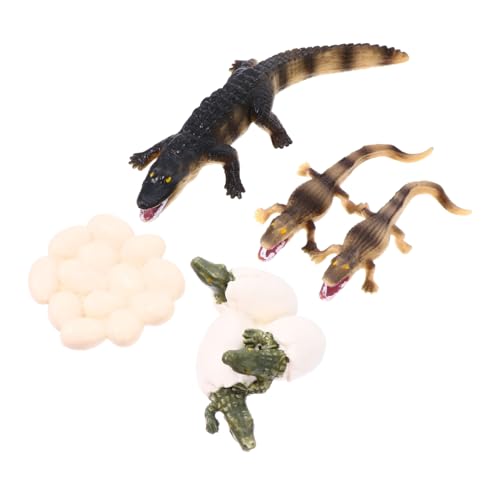 PERSELOSO 1 Satz Wachstumszyklus kinderspielzeug für Toys Erziehungswissenschaftliches Desktop- Simulationsmodell für Meerestiere Plastik von PERSELOSO