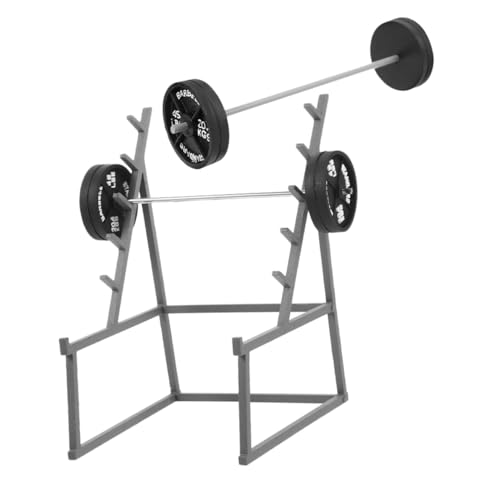 PERSELOSO 1 Set Fitness Langhantelmodell Miniaturhanteln Puppenhaus Sportmodelle Puppenhaus Sportzubehör Puppenhaus Fitnessgeräte Puppen Langhantelmodell Langhantelspielzeug PERSELOSO 1 Set Fitness Langhantelmodell Miniaturhanteln Puppenhaus Sportmodelle Puppenhaus Sportzubehör Puppenhaus Fitnessgeräte Puppen Langhantelmodell Langhantelspielzeug von PERSELOSO