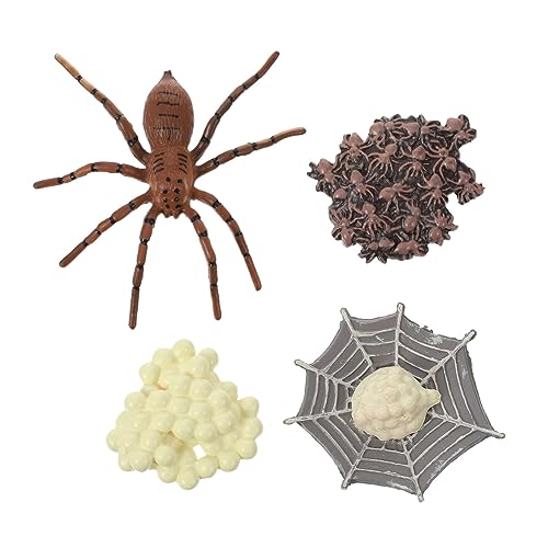PERSELOSO 1satz Spider Lebenszyklus Modellspielzeug Interaktive Tiere Pädagogisches Spielzeug Für Vorschule Lernspiel Realistisches Insekten Modell Für Naturwissenschaft Hochwertige PERSELOSO 1satz Spider Lebenszyklus Modellspielzeug Interaktive Tiere Pädagogisches Spielzeug Für Vorschule Lernspiel Realistisches Insekten Modell Für Naturwissenschaft Hochwertige von PERSELOSO