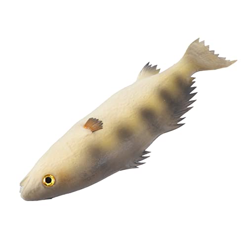 PERSELOSO 1Stück Künstlicher Fisch Realistisches PU Modell Für Aquarium Und Heimdekoration Und Langlebig Und von PERSELOSO