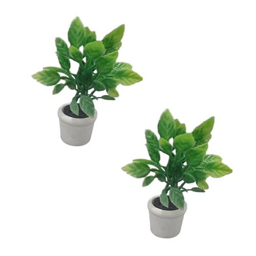 PERSELOSO 2stücke Miniatur Künstliche Bonsai Pflanzen Dekorative Topfpflanzen Für Puppenhaus Simulation Grünpflanzen Zubehör Für Modelle Und Heimdekoration Hochwertige Miniatur Deko PERSELOSO 2stücke Miniatur Künstliche Bonsai Pflanzen Dekorative Topfpflanzen Für Puppenhaus Simulation Grünpflanzen Zubehör Für Modelle Und Heimdekoration Hochwertige Miniatur Deko von PERSELOSO