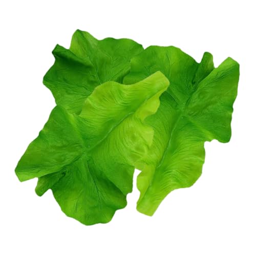 PERSELOSO 3 Stück Salatblatt Modell Simuliertes Gemüse Gemüseschmuck Restaurant Salatblatt Requisiten Lebensechte Gefälschte Gemüseerziehung Gemüseblatt Requisite Simulation Von PERSELOSO 3 Stück Salatblatt Modell Simuliertes Gemüse Gemüseschmuck Restaurant Salatblatt Requisiten Lebensechte Gefälschte Gemüseerziehung Gemüseblatt Requisite Simulation Von von PERSELOSO