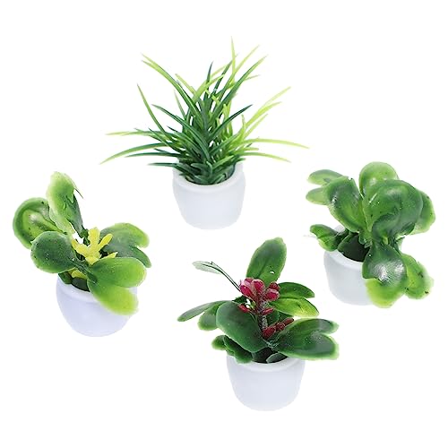 PERSELOSO 4 Stück Mini-pflanzenmodell Puppenhaus Pflanze Miniatur Spielhaus Gartenzubehör Mini-künstliche Pflanzen Künstliches Sukkulenten Mini-sukkulenten Blumendekorationen Auto Plastik PERSELOSO 4 Stück Mini-pflanzenmodell Puppenhaus Pflanze Miniatur Spielhaus Gartenzubehör Mini-künstliche Pflanzen Künstliches Sukkulenten Mini-sukkulenten Blumendekorationen Auto Plastik von PERSELOSO