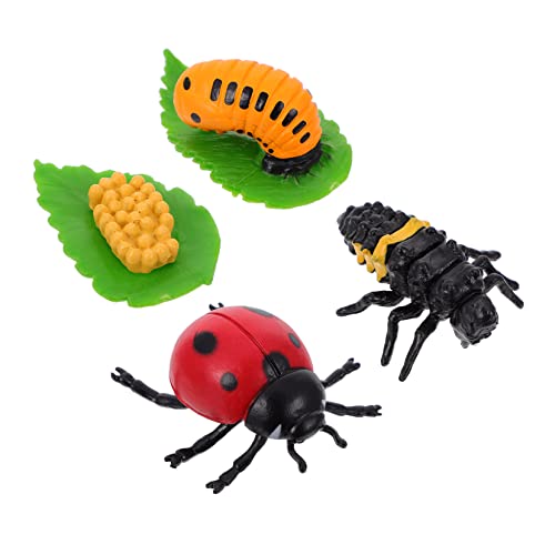 PERSELOSO 4Stücke Marienkäfer Lebenszyklus Kit Insektenfiguren für Lernspielzeug zur Dekoration und Wissensvermittlung über Insektenwachstum PERSELOSO 4Stücke Marienkäfer Lebenszyklus Kit Insektenfiguren für Lernspielzeug zur Dekoration und Wissensvermittlung über Insektenwachstum von PERSELOSO
