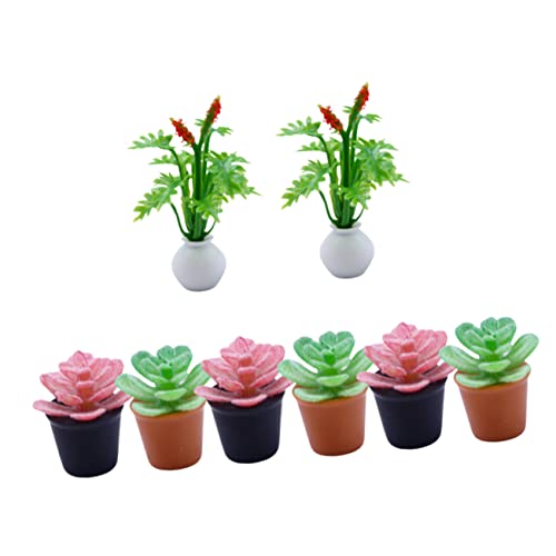 PERSELOSO 8 Stück Miniatur Pflanzen Deko Kunstpflanzen für Puppenhaus Realistische Bonsai Simulation Mini Garten Dekoration für Ihr Zuhause und Kleine Landschaften PERSELOSO 8 Stück Miniatur Pflanzen Deko Kunstpflanzen für Puppenhaus Realistische Bonsai Simulation Mini Garten Dekoration für Ihr Zuhause und Kleine Landschaften von PERSELOSO