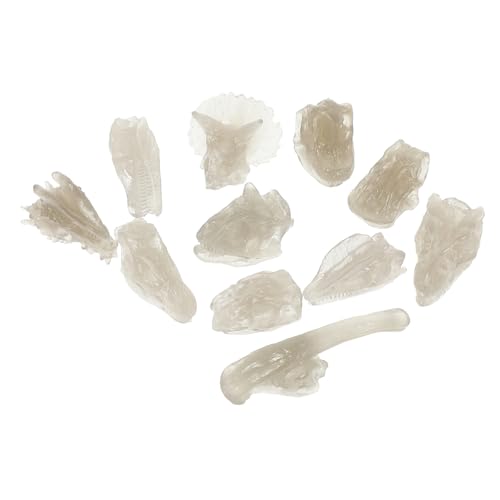 PERSELOSO Dinosaurier Knochen Modell mit Leuchtendem PVC Schädel Fossil für Nachtaktive Skelettfigur Robust und Sicher Fördert Vorstellungskraft und Wissen von PERSELOSO