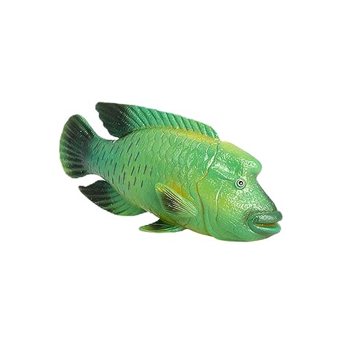 PERSELOSO Humphead Wrasse Tiermodell Realistisches Kunststoff Ornament für Aquarium Dekoration und Frühe Bildung Farbenfroh und Langlebig für Wissenschaftliches Modell von PERSELOSO
