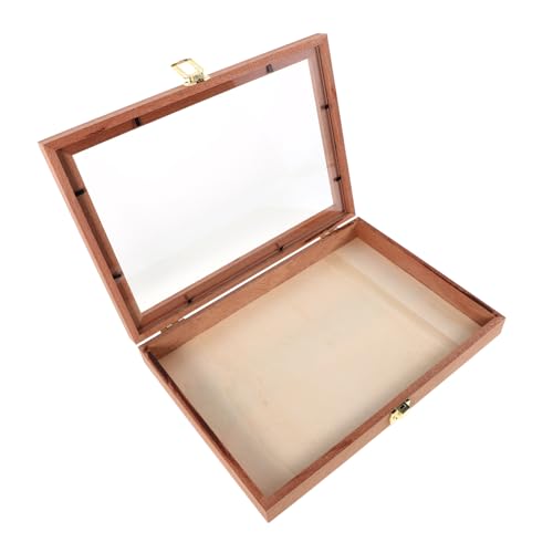 PERSELOSO Klare Aufbewahrungsbox Aus Holz Für Proben, Kleine Vitrine Mit Transparenter Abdeckung, Für Insekten, Probenrahmen, Probenvitrine von PERSELOSO