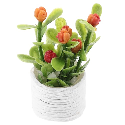 PERSELOSO Miniatur Bonsai Pflanze Künstliche Potted Pflanze für Miniaturhäuser Dekorative Deko für Puppenhaus und Mikrogarten PERSELOSO Miniatur Bonsai Pflanze Künstliche Potted Pflanze für Miniaturhäuser Dekorative Deko für Puppenhaus und Mikrogarten von PERSELOSO