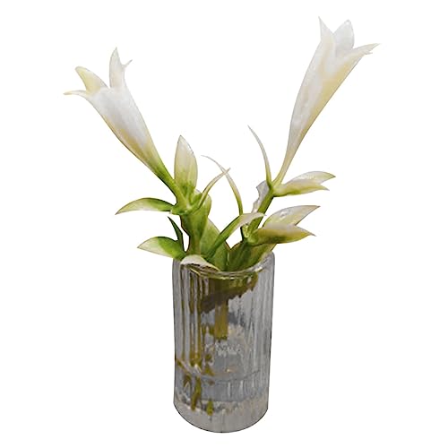 PERSELOSO Miniatur-lilien Künstlich Winzig Puppe Pflanzen Blumen Figuren Anlage Strauß Miniaturen Vase Gefälscht Fee Klein Mini-zimmerpflanze Miniatur Lilie Harz PERSELOSO Miniatur-lilien Künstlich Winzig Puppe Pflanzen Blumen Figuren Anlage Strauß Miniaturen Vase Gefälscht Fee Klein Mini-zimmerpflanze Miniatur Lilie Harz von PERSELOSO