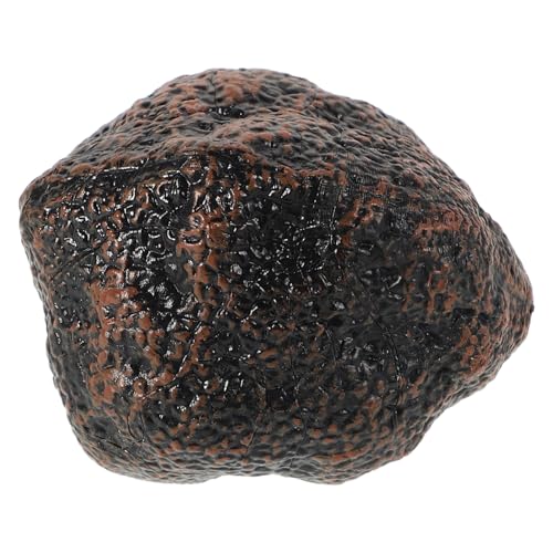 PERSELOSO Modell Mit Schwarzem Trüffel Frühpädagogisches Kleinkindspielzeug Lebenszyklus -lernspielzeug Küchenspielzeug Vortäuschen Kindersimulationsspiel Black Plastik PERSELOSO Modell Mit Schwarzem Trüffel Frühpädagogisches Kleinkindspielzeug Lebenszyklus -lernspielzeug Küchenspielzeug Vortäuschen Kindersimulationsspiel Black Plastik von PERSELOSO