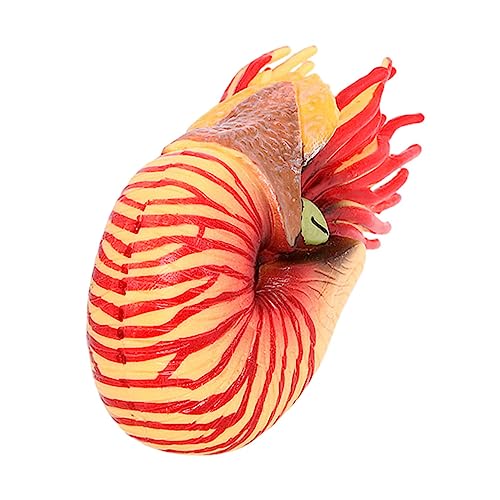 PERSELOSO Nautilus Modell Simuliertes Meereslebewesen Realistische Nautilus Statue für Aquarium und Hochwertiges Sicheres Material und Dekorationsspielzeug von PERSELOSO