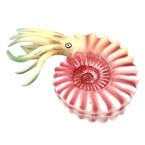PERSELOSO Nautilus-Modell für kinderspielzeug Toys for Boys Meerestier Figuren Tiermodelle Meerestiere Nautilus- Tierfigur aus Kunststoff Plastik Rosa PERSELOSO Nautilus-Modell für kinderspielzeug Toys for Boys Meerestier Figuren Tiermodelle Meerestiere Nautilus- Tierfigur aus Kunststoff Plastik Rosa von PERSELOSO