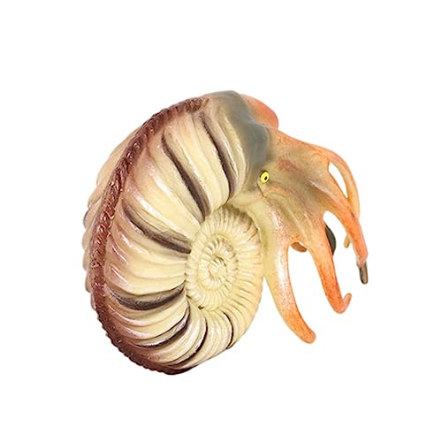 PERSELOSO Nautilus Tiermodell aus Realistische Meeresbewohner Figur für Ozeantiere Lernspielzeug Dekoration für Aquarium oder Wohnaccessoire Detailreiche Verarbeitung PERSELOSO Nautilus Tiermodell aus Realistische Meeresbewohner Figur für Ozeantiere Lernspielzeug Dekoration für Aquarium oder Wohnaccessoire Detailreiche Verarbeitung von PERSELOSO