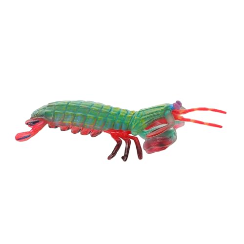 PERSELOSO Simulierte Garnelenfigur für Kinder Künstliches Garnelenmodell Realistische Tierfigur Pädagogisches Spielzeug Lernspielzeug für Ozeanliebhaber von PERSELOSO