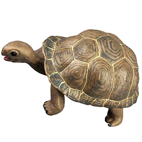 PERSELOSO Realistische Schildkröte aus Detailgetreues Modell für Schulprojekte Tieridentifikation und Themenfeiern PERSELOSO Realistische Schildkröte aus Detailgetreues Modell für Schulprojekte Tieridentifikation und Themenfeiern von PERSELOSO